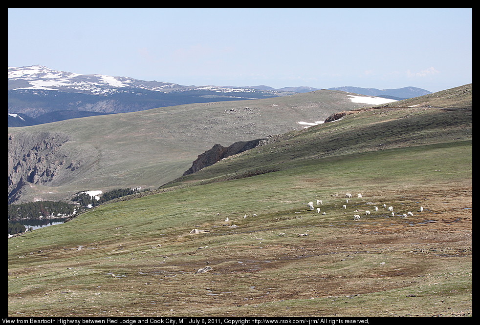 Mountain goats and snow capped mountains above a green valley.