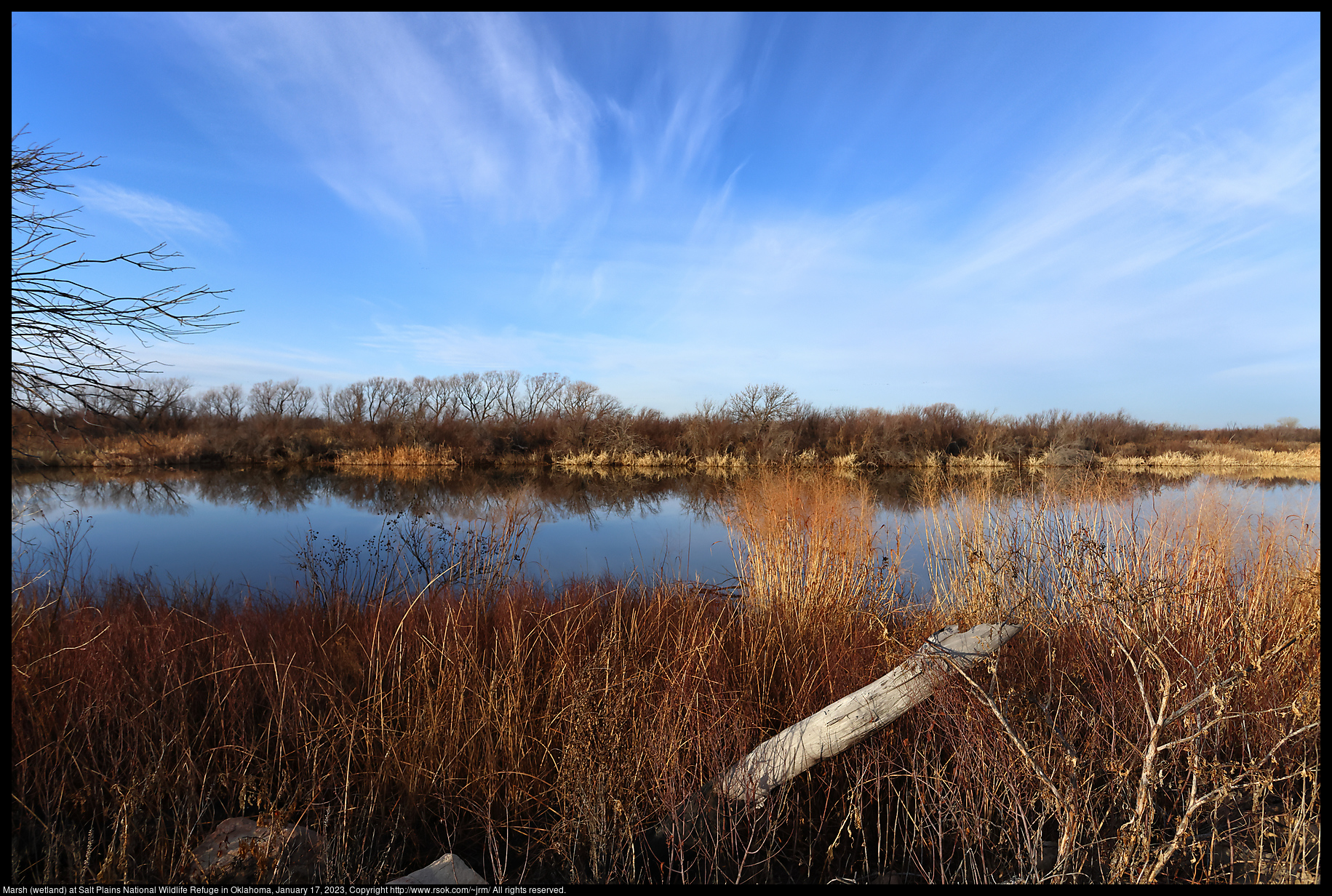 Marsh (wetland) at Salt Plains National Wildlife Refuge in Oklahoma, January 17, 2023